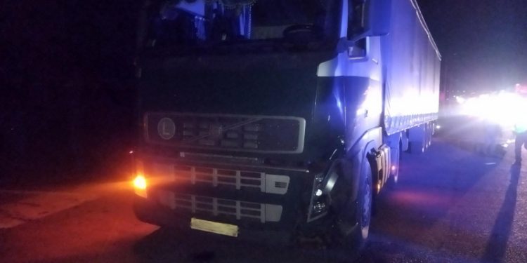 В Михайловском районе водитель грузовика насмерть сбил 69-летнего пешехода