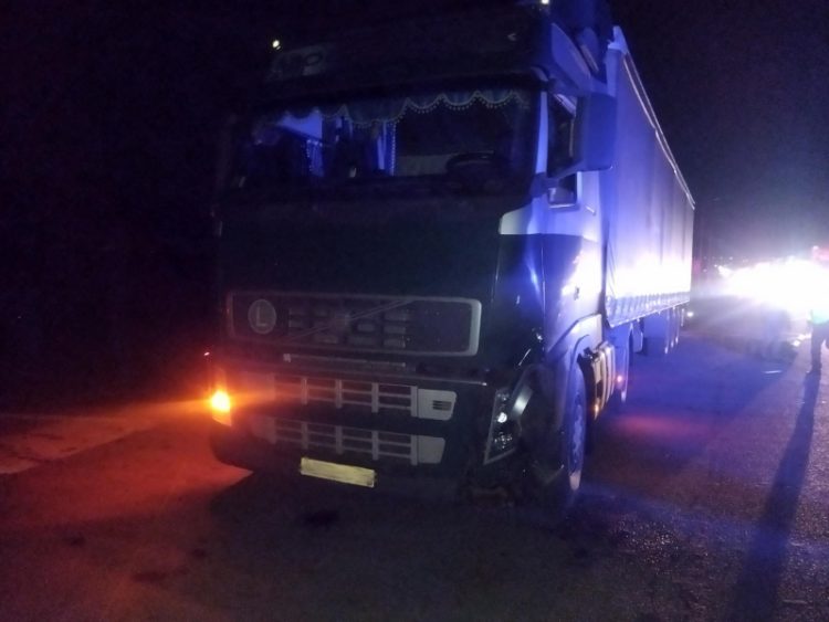 В Михайловском районе водитель грузовика насмерть сбил 69-летнего пешехода