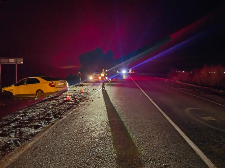 В ДТП в Скопинском районе пострадали два человека