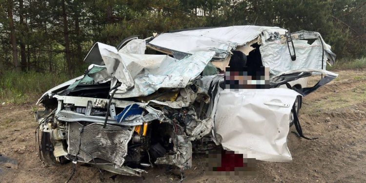 В ДТП в Клепиковском районе с участием грузовика погиб водитель легковушки