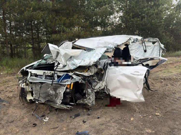 В ДТП в Клепиковском районе с участием грузовика погиб водитель легковушки