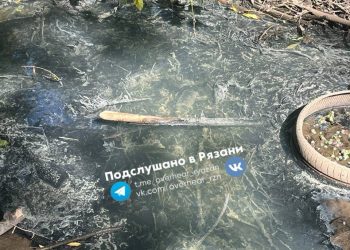 Рязанцы пожаловались на слив канализационных стоков в ручей Песоченка