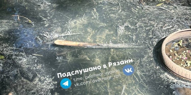 Рязанцы пожаловались на слив канализационных стоков в ручей Песоченка