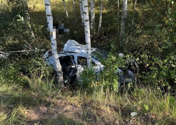 В Сети появились фото с места смертельного ДТП в Клепиковском районе В Сети появились фото с места смертельного ДТП в Клепиковском районе
