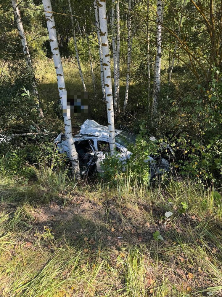 В Сети появились фото с места смертельного ДТП в Клепиковском районе