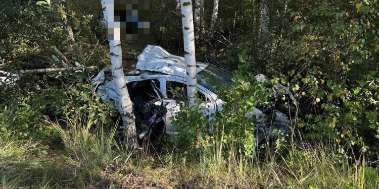 В Сети появились фото с места смертельного ДТП в Клепиковском районе