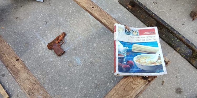 Во время уборки на берегу Оки рязанские экоактивисты нашли пистолет Макарова