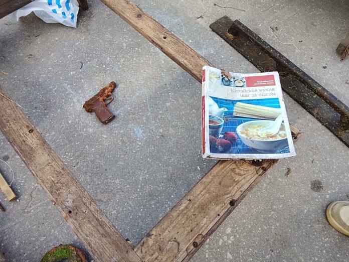 Во время уборки на берегу Оки рязанские экоактивисты нашли пистолет Макарова