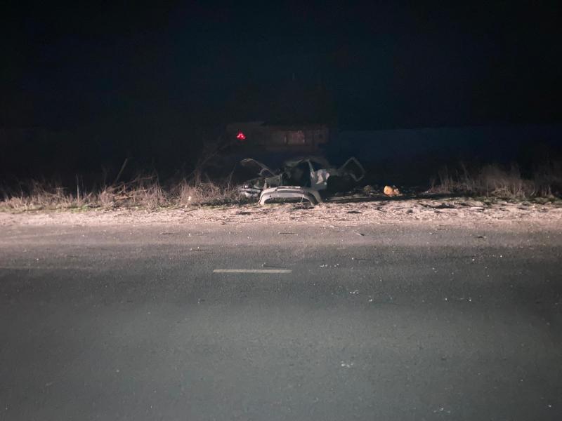 В рязанском Пронске 27-летний водитель на «Volkswagen Golf» врезался в дерево и погиб