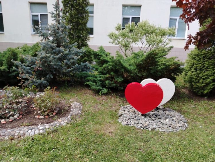На территории Рязанского кардиодиспансера установили инсталляцию в виде двух сердец