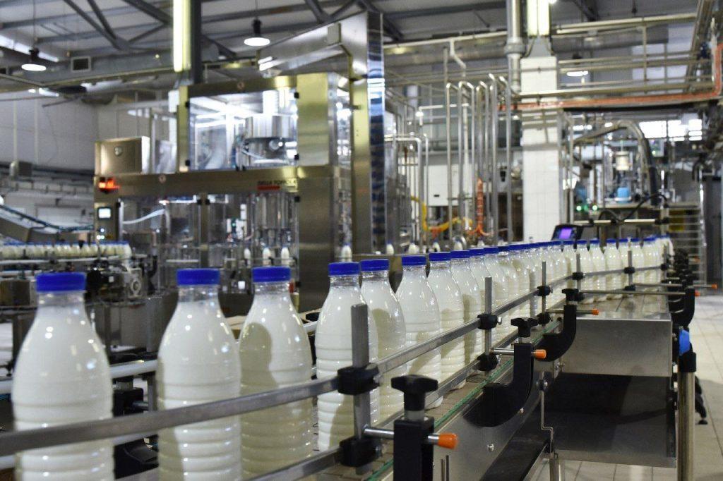 Малков: за год в Рязанской области производство яиц возросло почти на 10%