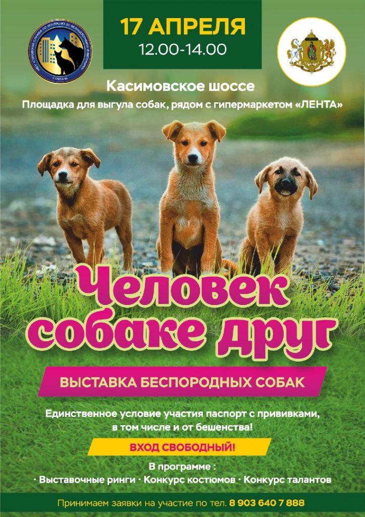 Рязанцев приглашают посетить выставку беспородных собак