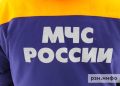Рязанские спасатели подняли труп из пруда