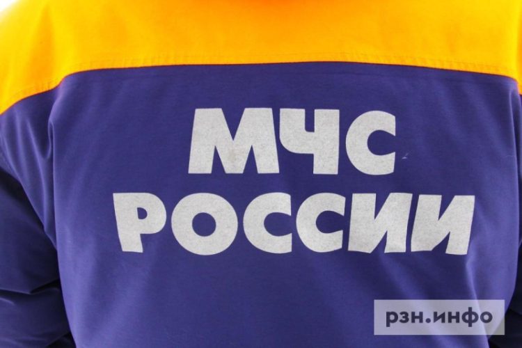 Рязанские спасатели подняли труп из пруда