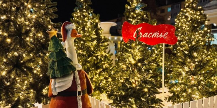 Рязанский ЗАГС предлагает влюбленным заключить брак в Резиденции деда Мороза