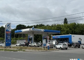 Я заправил в свою тачку полный бак… На каких АЗС Рязани есть бензин вечером 24 августа — карта