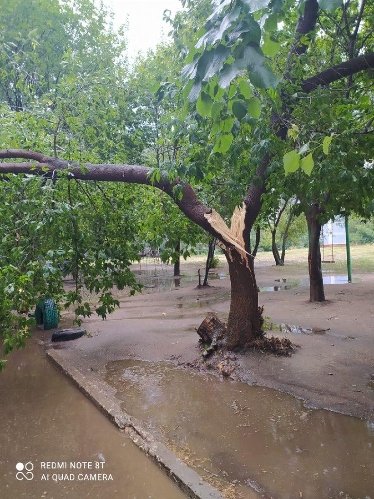 В Рязани из-за сильного ветра сломанное дерево упало на машину