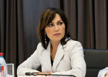 Зампред рязанского правительства Швакова выступит с публичным отчетом 18 октября Зампред рязанского правительства Швакова выступит с публичным отчетом 18 октября