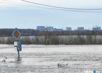 Гусеничный транспортер спасает жителей Рязани в половодье