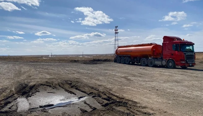 Журналистка проехала полстраны на машине