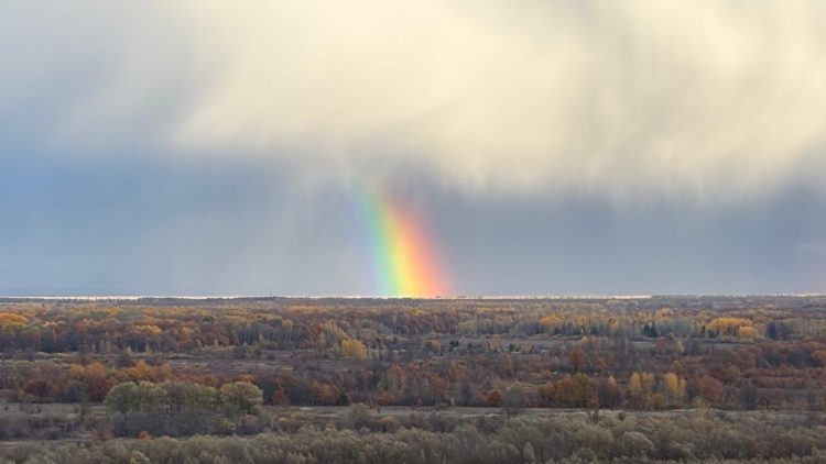 В Касимовском округе запечатлели октябрьскую радугу