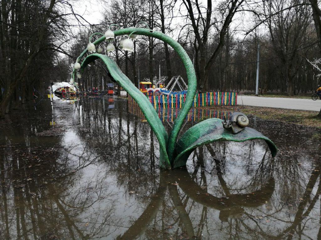 В Сети появились снимки затопленного рязанского Лесопарка