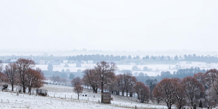 В субботу в Рязанской области ожидается гололедица и до +2 градусов В субботу в Рязанской области ожидается гололедица и до +2 градусов