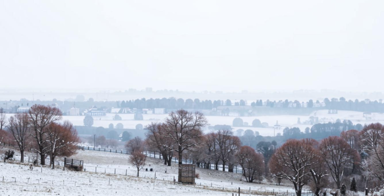 В субботу в Рязанской области ожидается гололедица и до +2 градусов