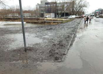 Рязанцы пожаловались на грязь около пруда "Серая шейка" Рязанцы пожаловались на грязь около пруда «Серая шейка»