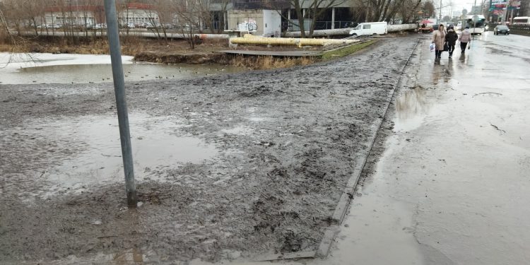 Рязанцы пожаловались на грязь около пруда "Серая шейка" Рязанцы пожаловались на грязь около пруда «Серая шейка»