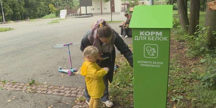В рязанском ЦПКиО установили автомат с кормом для белок