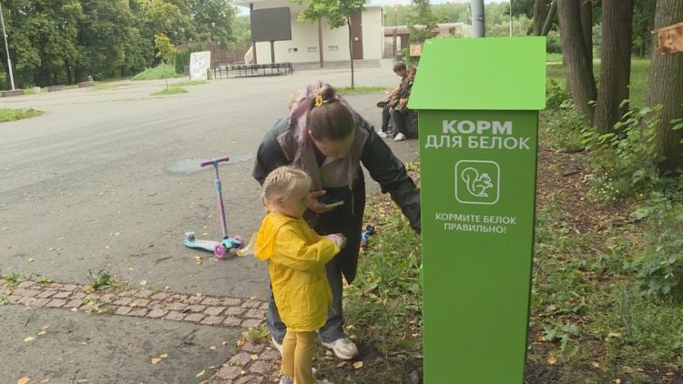 В рязанском ЦПКиО установили автомат с кормом для белок