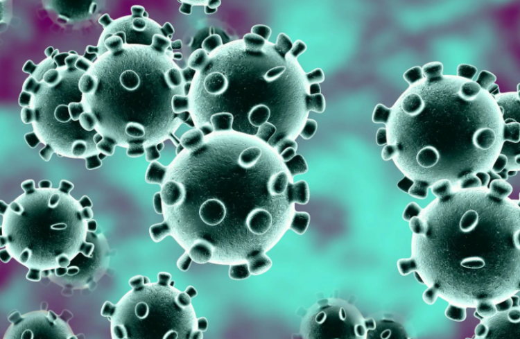 За сутки в Рязанской области выявили еще 61 случай заражения коронавирусом
