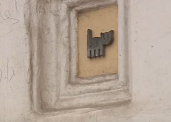 На рязанских зданиях появились плоские изображения котов