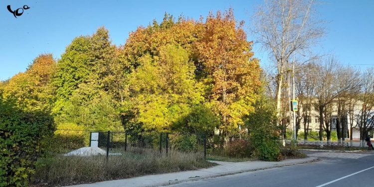 Тишковец: 25 сентября в Центральной России потеплеет до +24 градусов