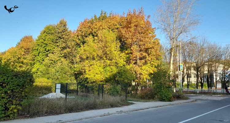 Тишковец: 25 сентября в Центральной России потеплеет до +24 градусов