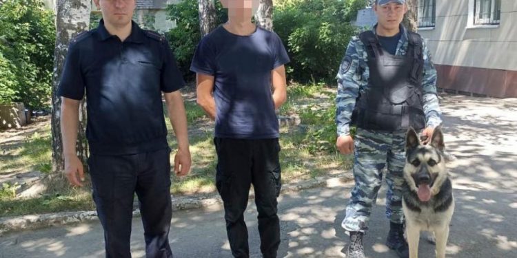 Молодой рязанец может провести в колонии 5 лет за кражу 3742 рублей