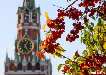 Кремль анонсировал трехсторонние переговоры России Украины и США