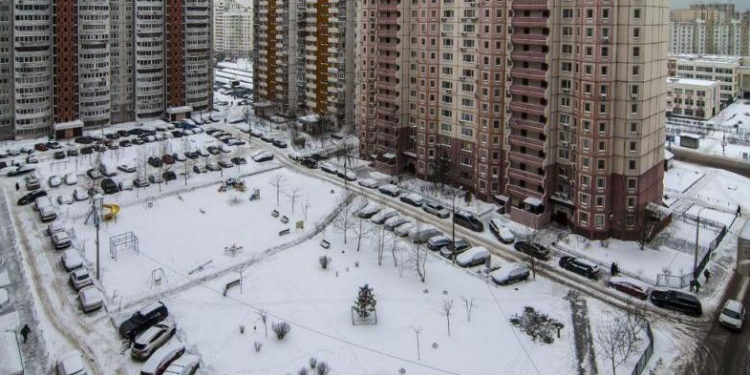 С начала 2024 года 3649 водителей-нарушителей получили штрафы за парковку в зеленой зоне