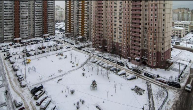 С начала 2024 года 3649 водителей-нарушителей получили штрафы за парковку в зеленой зоне