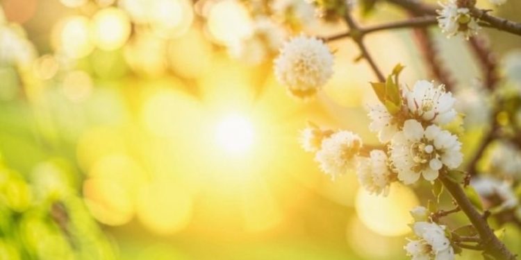 Синоптик Вильфанд назвал апрель в Центральной России уникальным месяцем