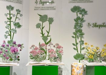 Зампред рязанского правительства Денис Боков сообщил об открытии наццентра «Россия»