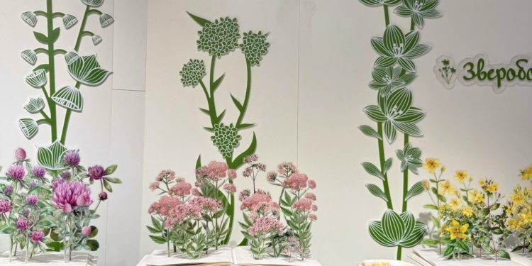 Зампред рязанского правительства Денис Боков сообщил об открытии наццентра "Россия" Зампред рязанского правительства Денис Боков сообщил об открытии наццентра «Россия»