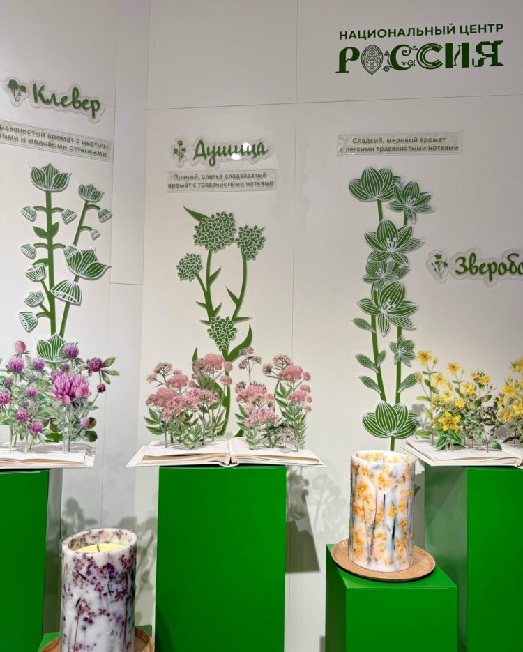 Зампред рязанского правительства Денис Боков сообщил об открытии наццентра "Россия"