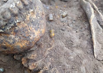 Археологи обнаружили на Старой Рязани останки богатой жительницы XI века