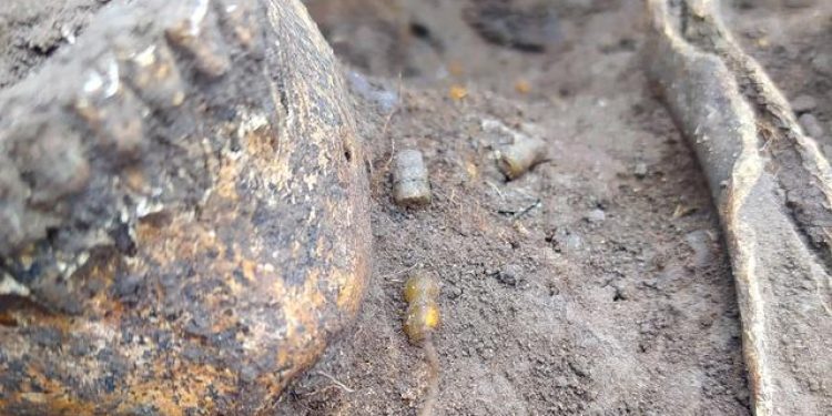 Археологи обнаружили на Старой Рязани останки богатой жительницы XI века