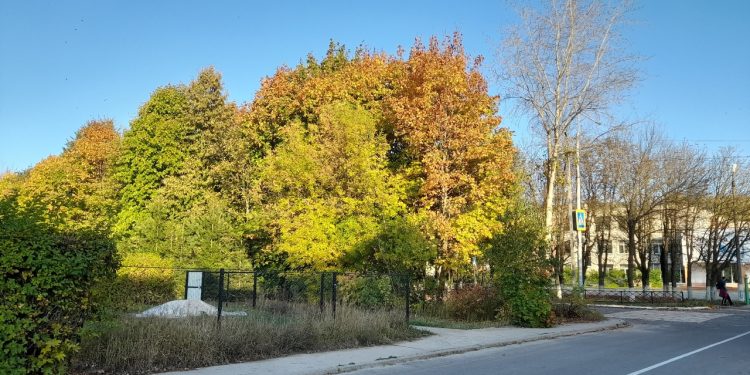 Тишковец: предстоящие выходные в Центральной России будут теплыми и солнечными