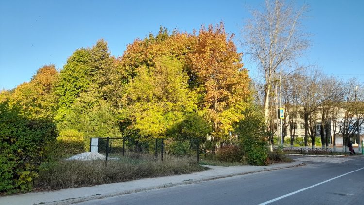 Тишковец: предстоящие выходные в Центральной России будут теплыми и солнечными