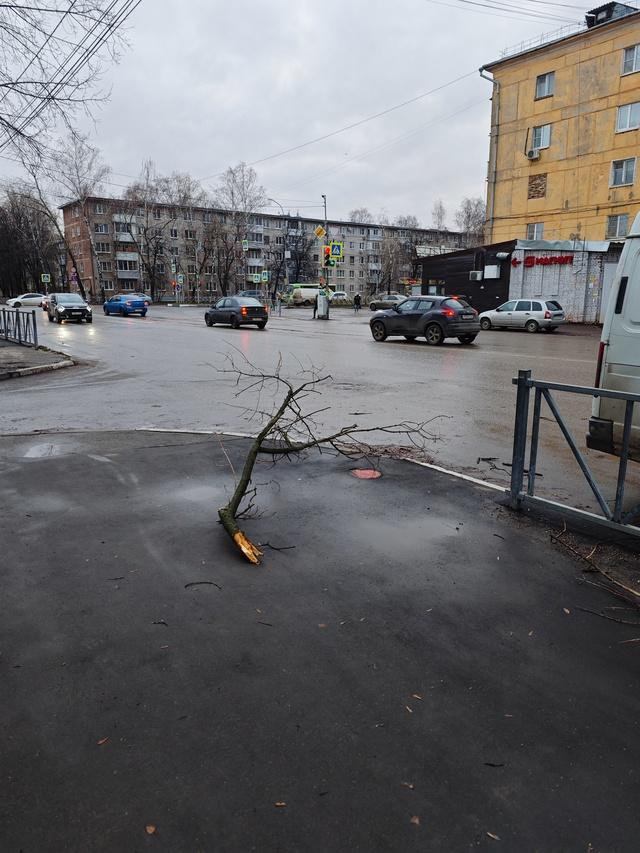 В рязанской Горроще ураган повалил деревья