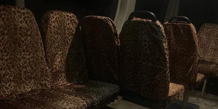 Жителей рязанского Рыбного рассмешила леопардовая обивка сидений в маршрутке